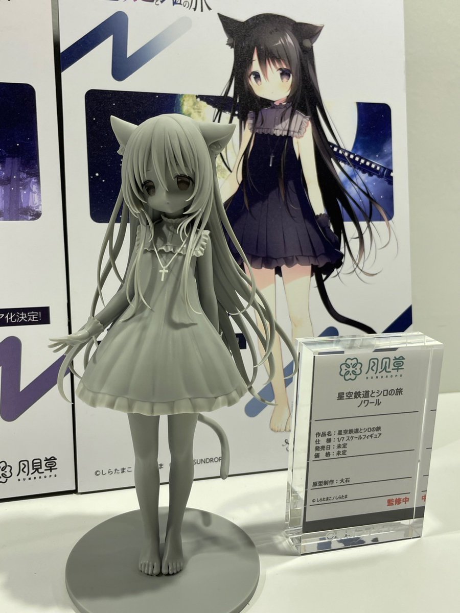 しらたまこ 星空鉄道とシロの旅 ノワール 直筆サイン入り色紙 しらたま