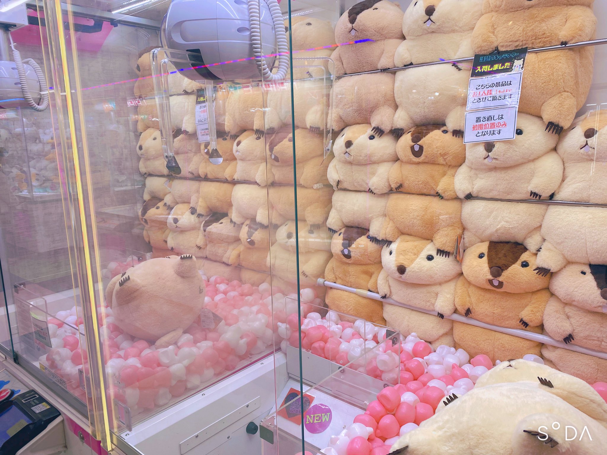 テディベア 海外 作家 アートドール パンダ リアル ぬいぐるみ ハチ