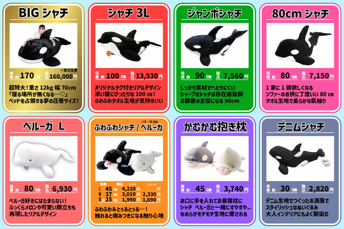 全長170㎝、重さ12㎏、鴨川シーワールドオリジナル 超特大「BIGシャチ