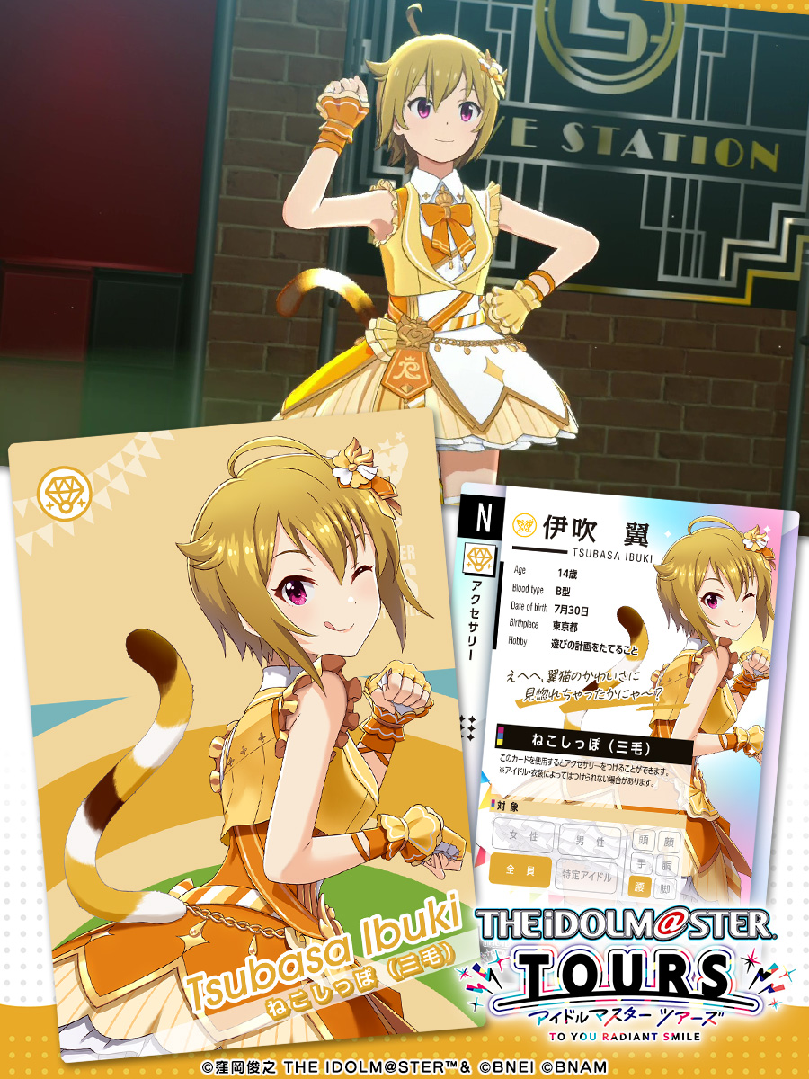 ヴァイスシュヴァルツ アイドルマスター 水上のユーフォリア 伊吹翼