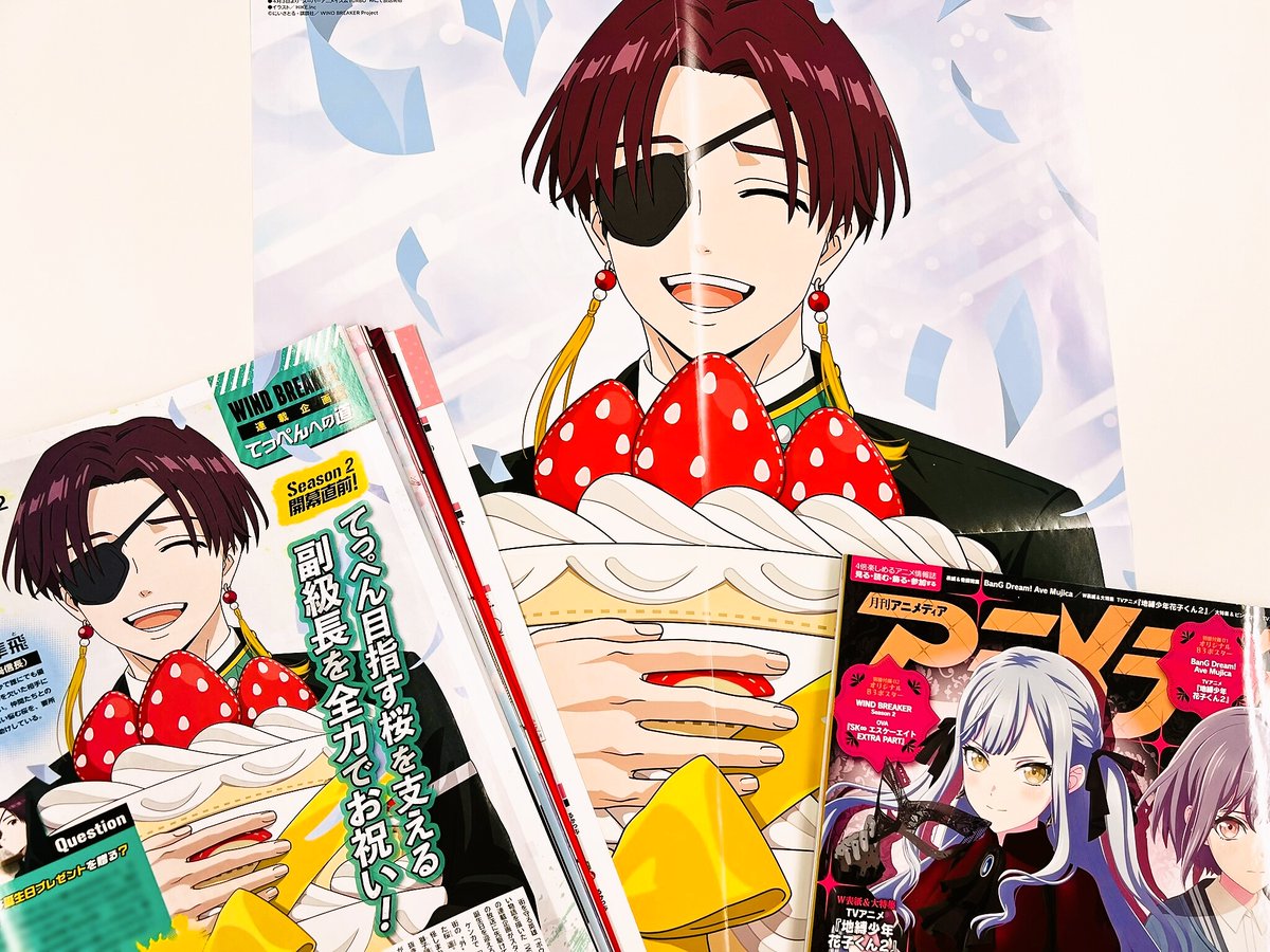 アニメディア 2025 4 ポスター WIND BREAKER 蘇枋隼飛 50枚 アニメ