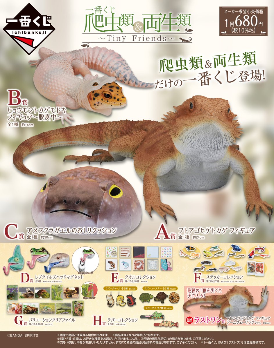 🦎🐸4月11日(金)より順次発売🐢🐍 一番くじ 爬虫類＆両生類～Tiny