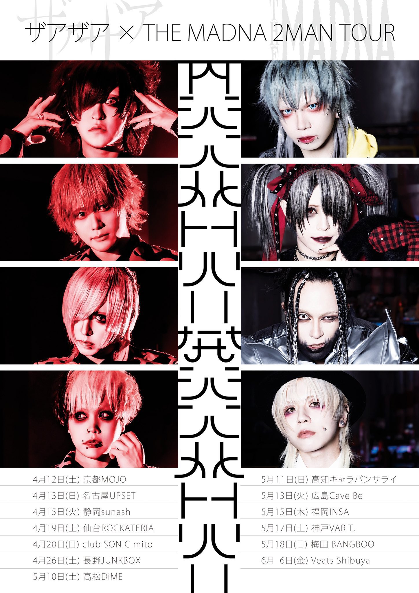 ザアザア 春 チェキ 春芽 ザアザア 春 チェキ 春芽 2025年最新