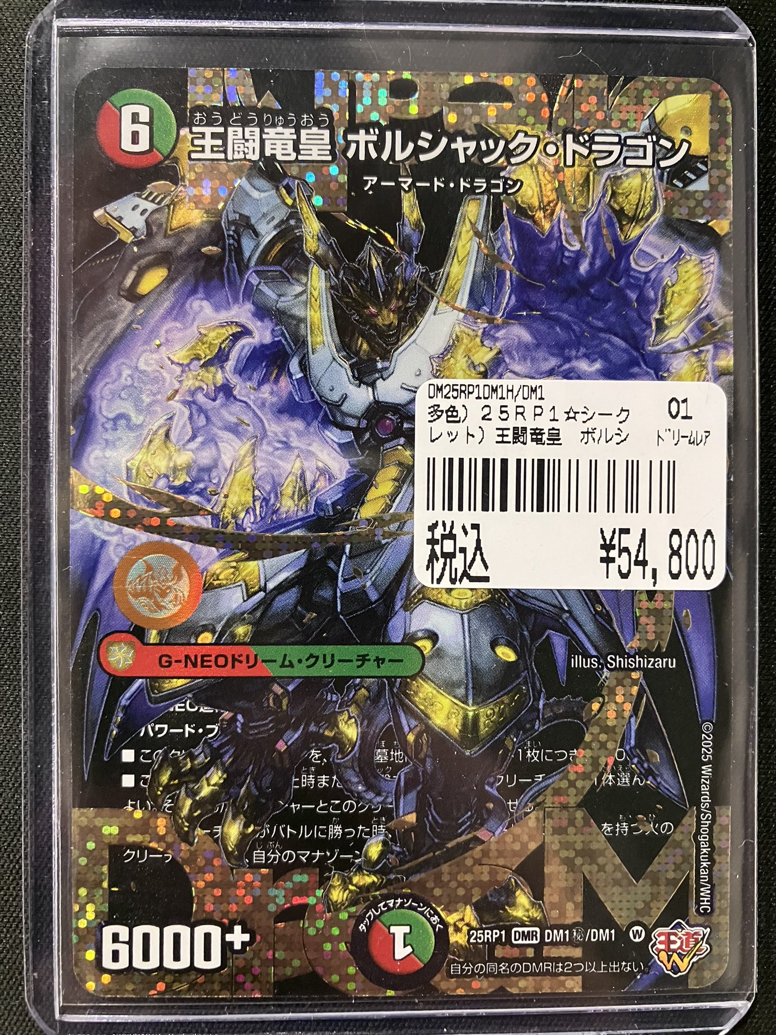 王闘竜皇 ボルシャックドラゴン ドリーム シークレットレア シク 秘