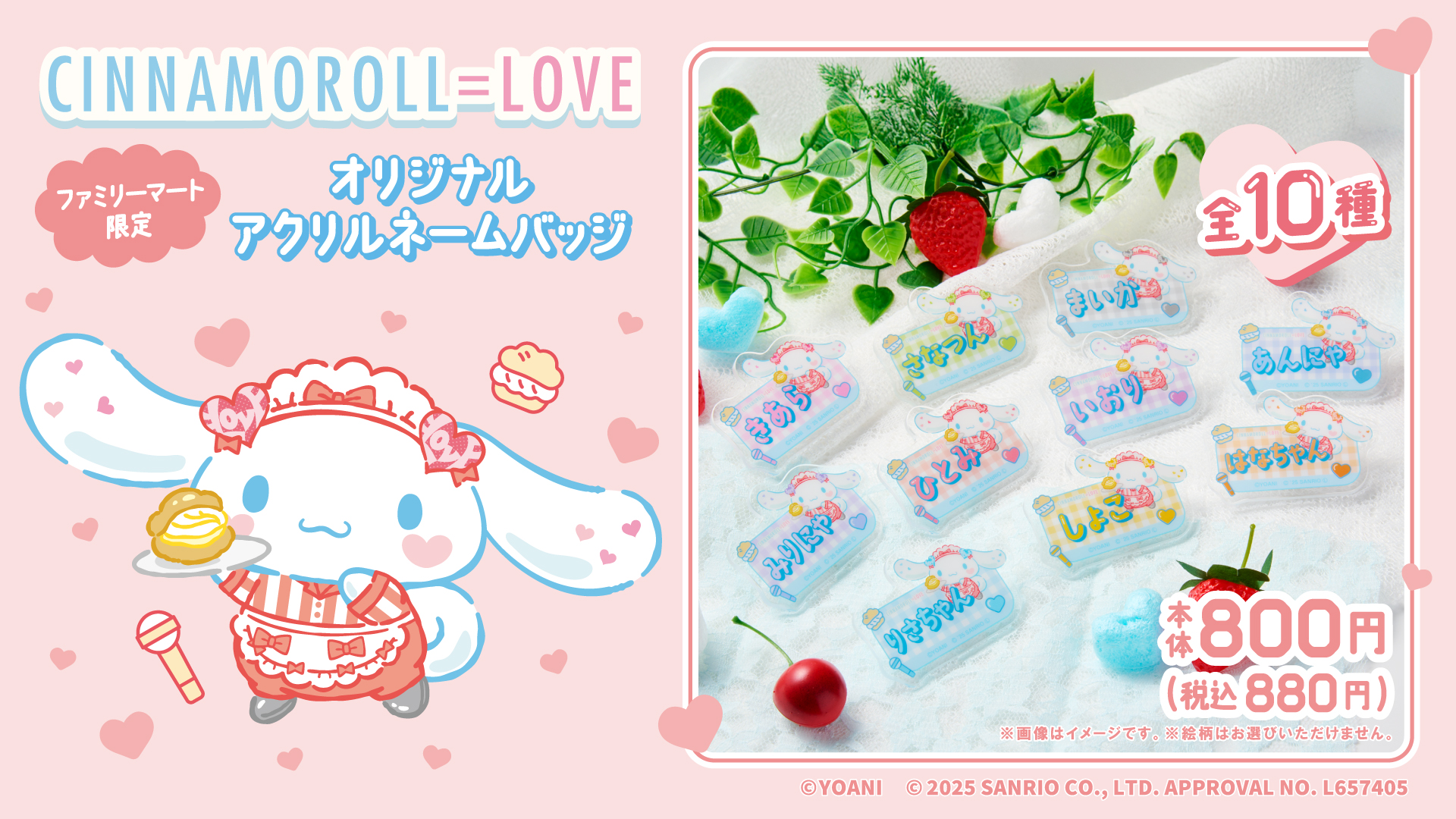 佐々木舞香 直筆 チュウ シナモロールコラボ2025 生写真 シナモン