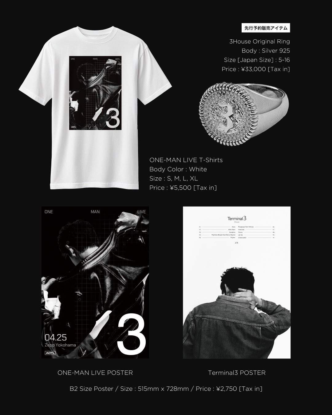 ミュージシャン 3House Terminal3 B2 Size Poster ミュージシャン