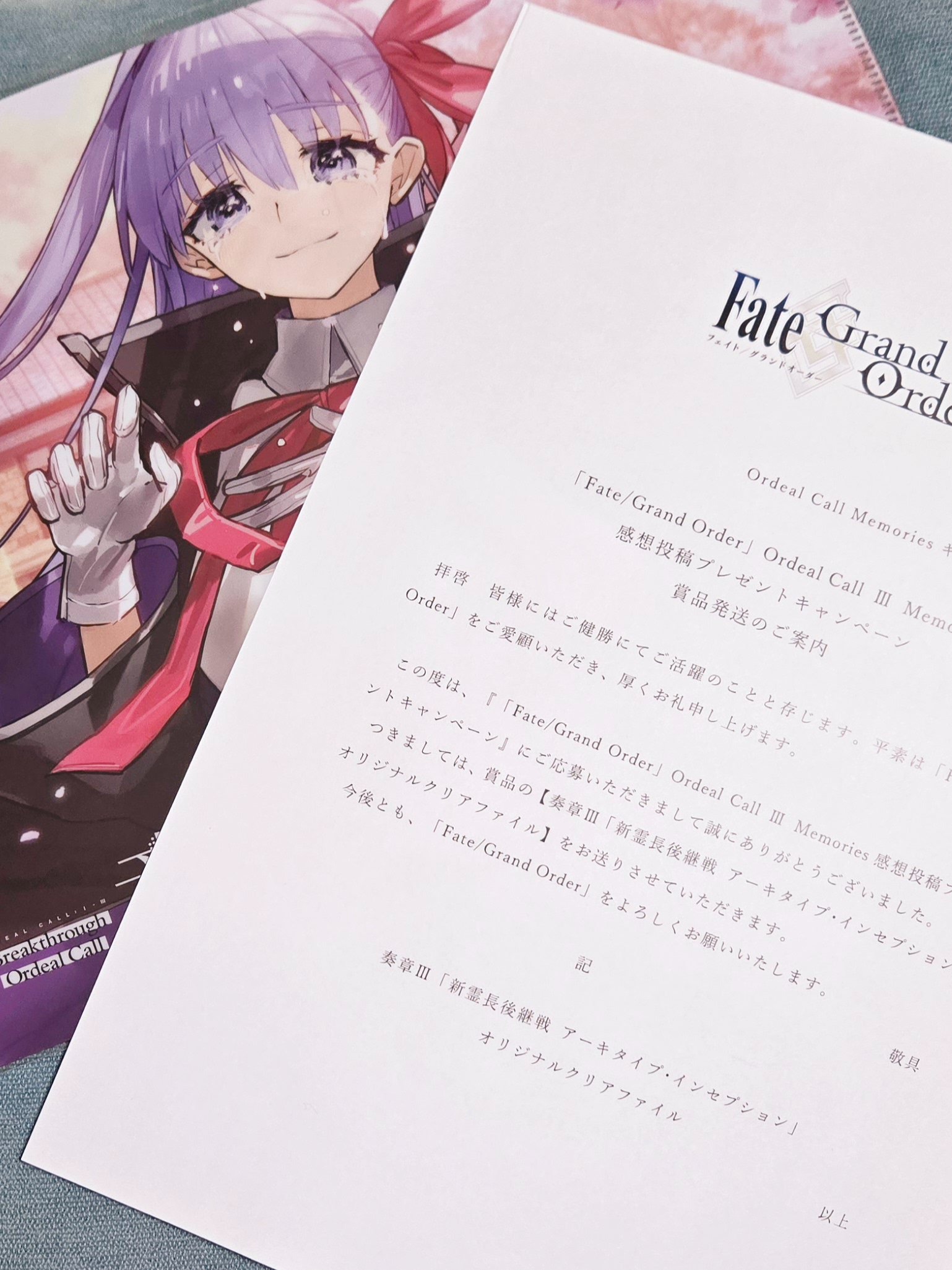 Fate/Grand Order 奏章 感想投稿キャンペーン クリアファイル Fate