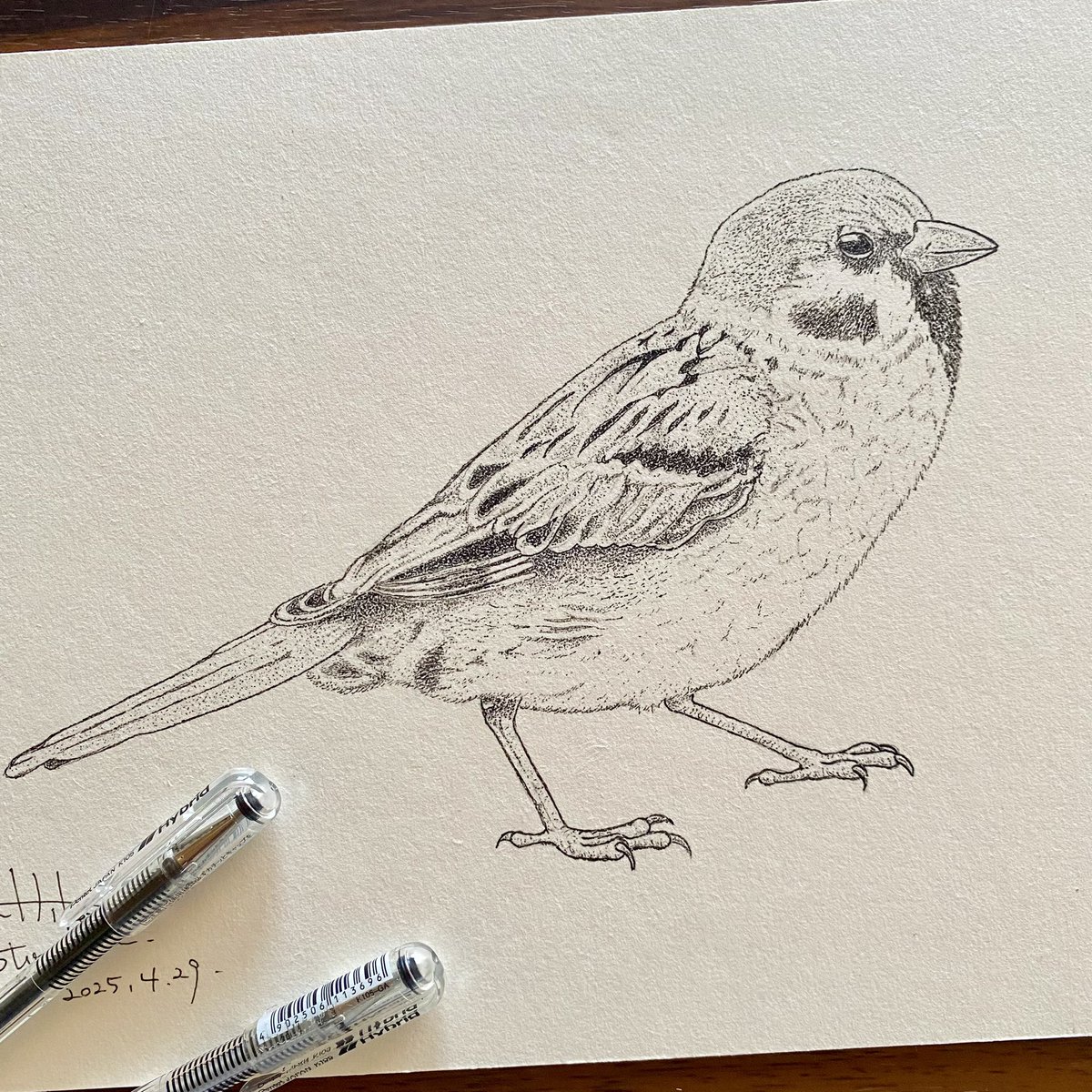 点描画_新作出来！！】 雀百まで踊り忘れずーJazzyなスズメ、できまし