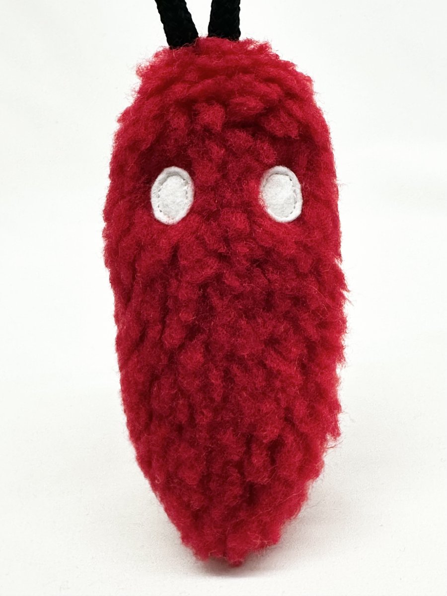 カラフルチェック柄ボア 蓑虫君セット 5/11（日）に何セットか出します