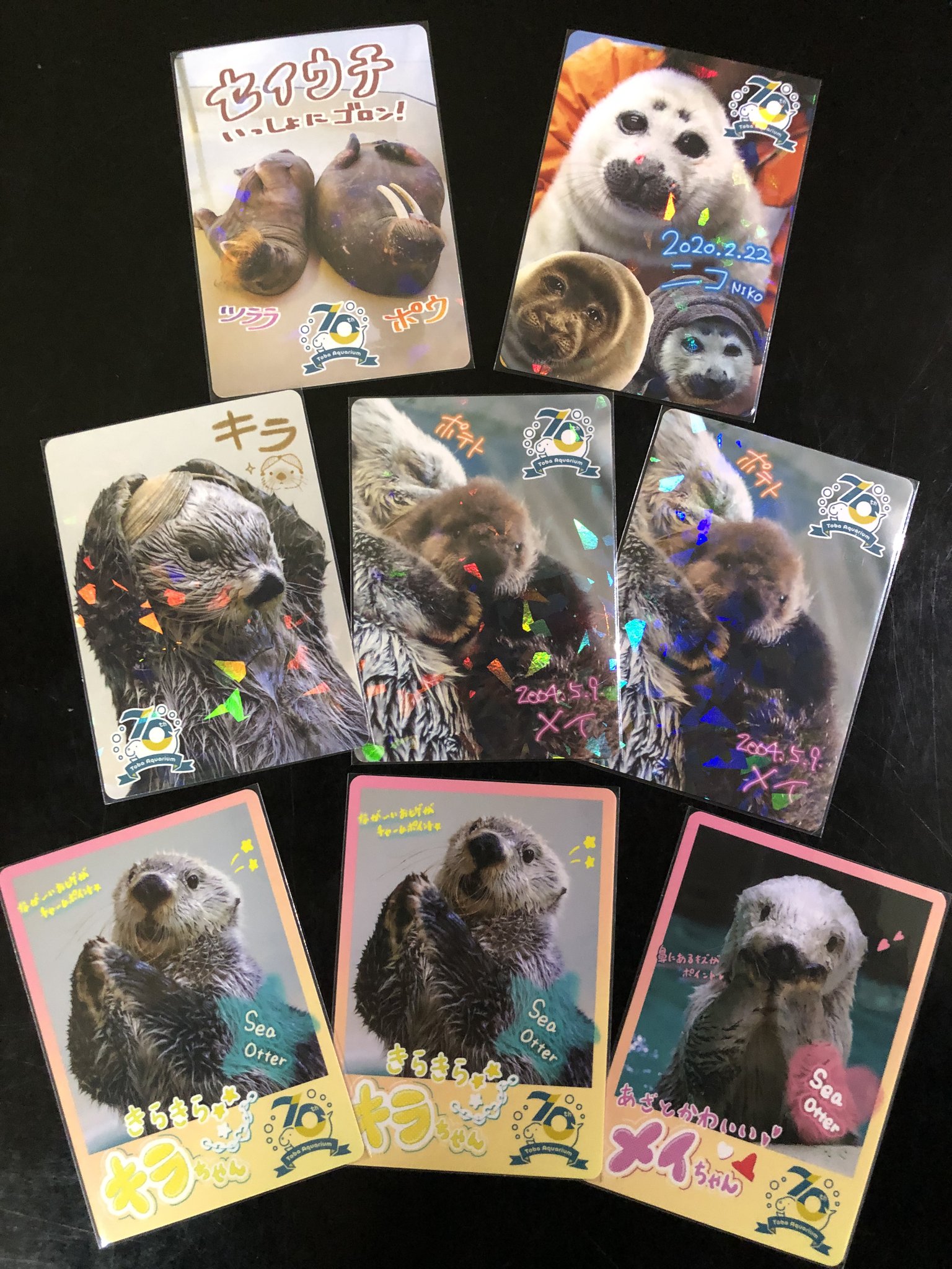 鳥羽水族館 コレクションカード 鳥羽水族館 コレクションカード キラ