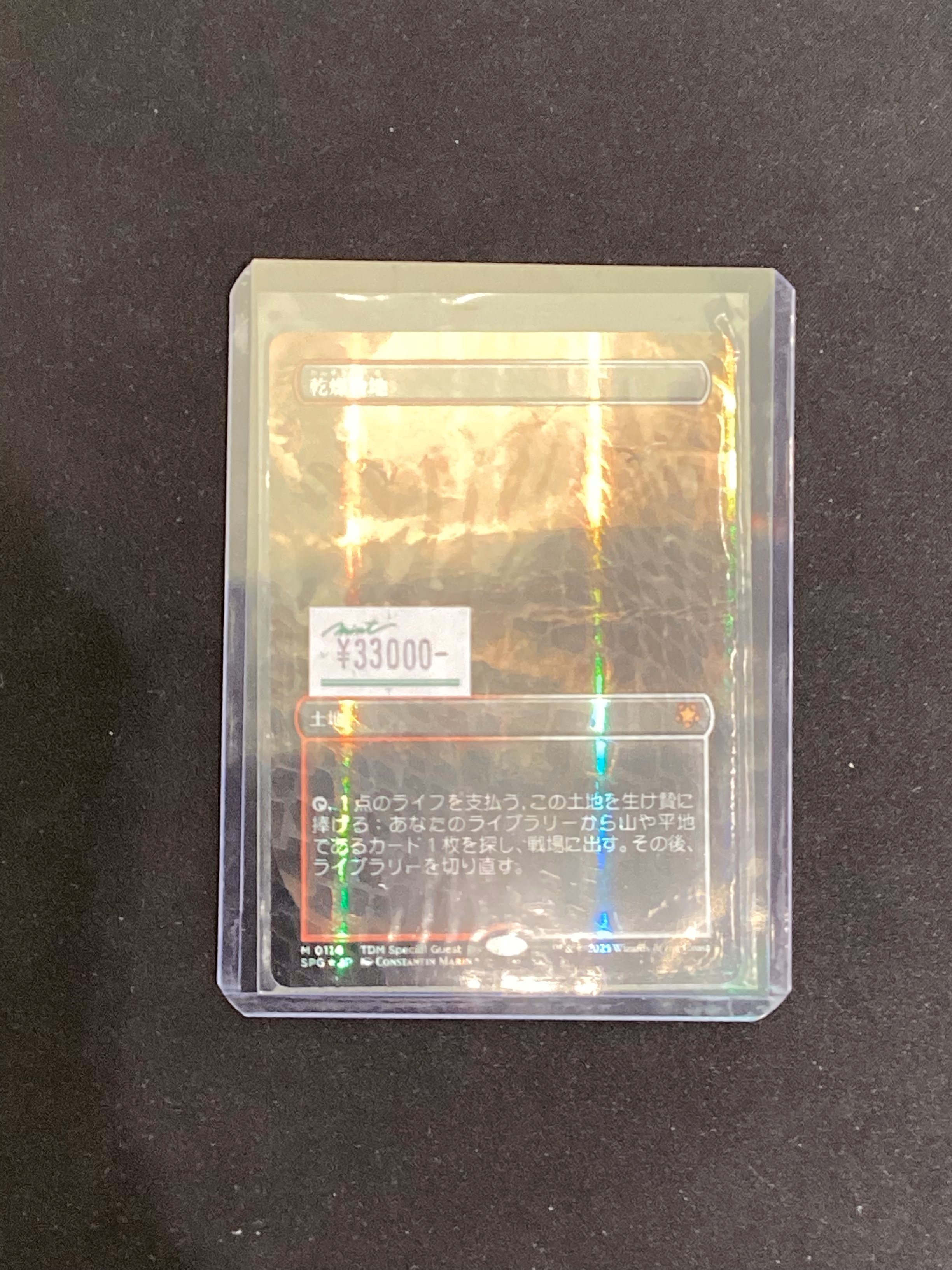 ドラゴンスケイルfoil】乾燥台地 1枚 ドラゴンスケイルfoil】乾燥台地