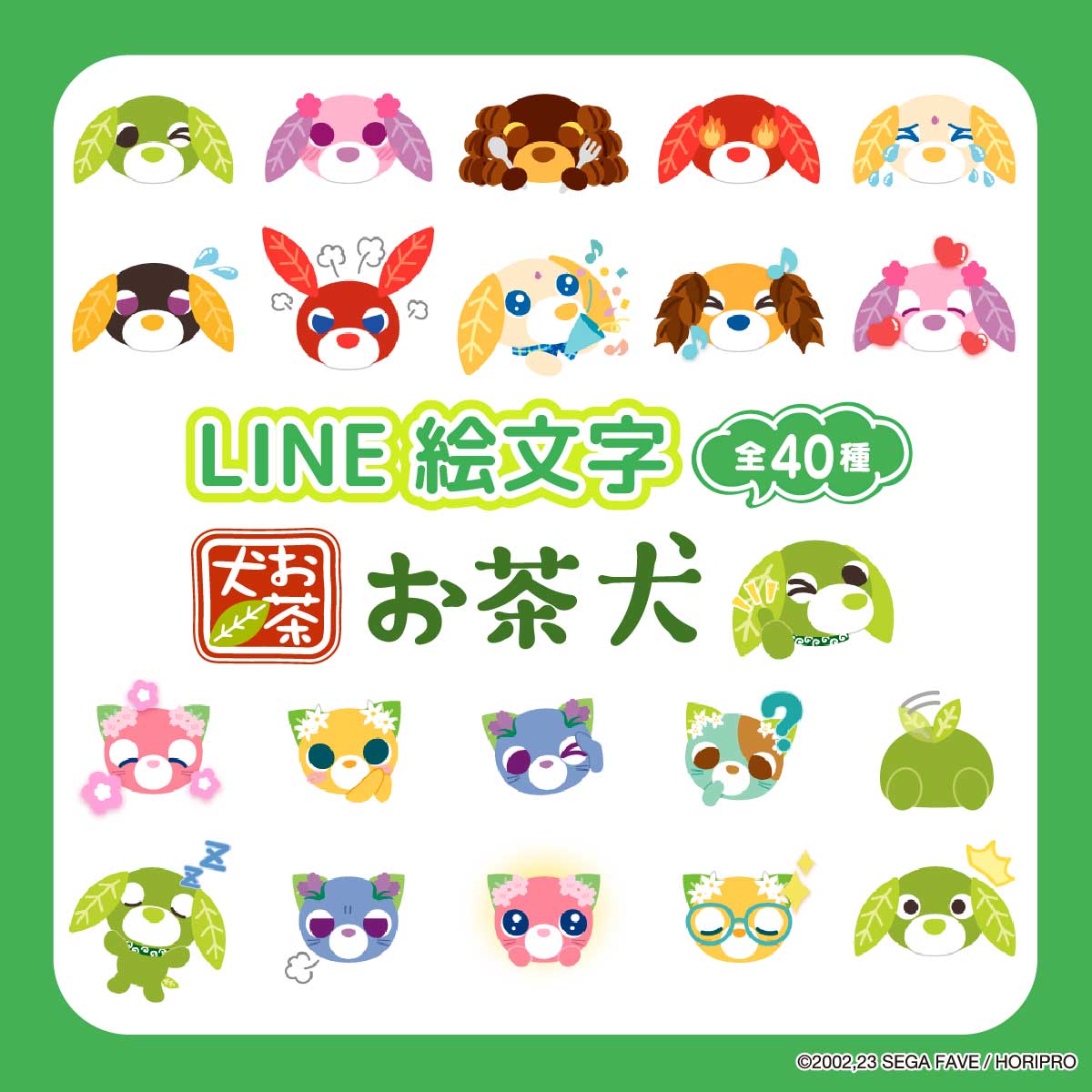 お茶犬【公式】 (@ochakenofficial) / Posts / X