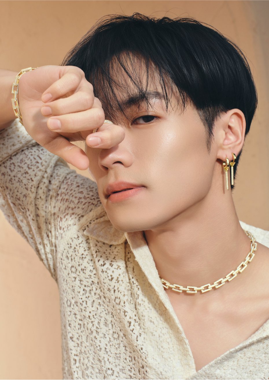 川村壱馬 AUREA ピアス 川村壱馬 AUREA. ピアス 自分だけの“真価”を