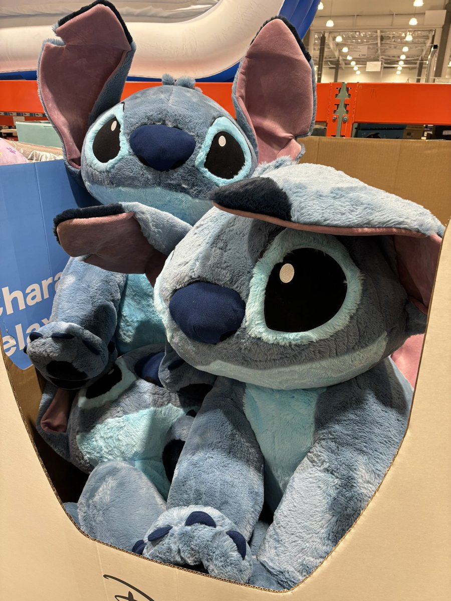 スティッチ ぬいぐるみ コストコ コストコ」に巨大スティッチが登場