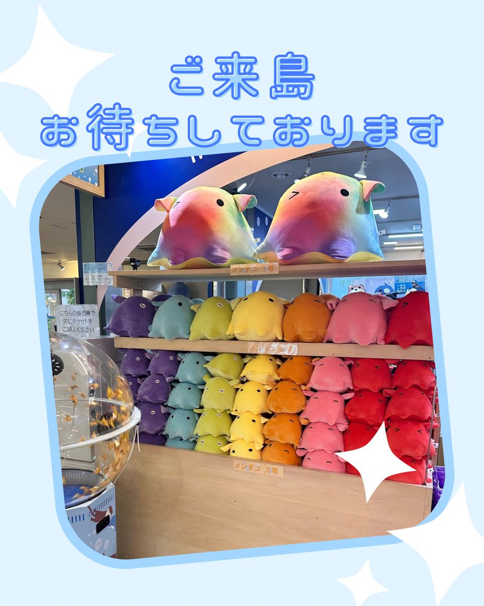 曜日メンダコがぬいぐるみくじに新登場／ じつは…曜日によって顔が違う