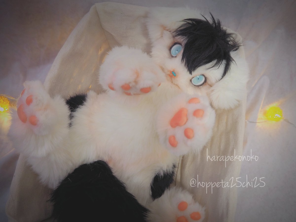 ハラペコ (@hoppeta25chi25) / Posts / X