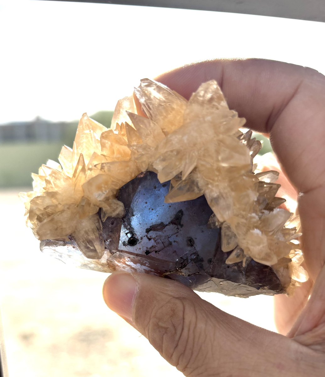 ノーダメージ、犬牙状カルサイトに 包まれたブルーフローライト Denton