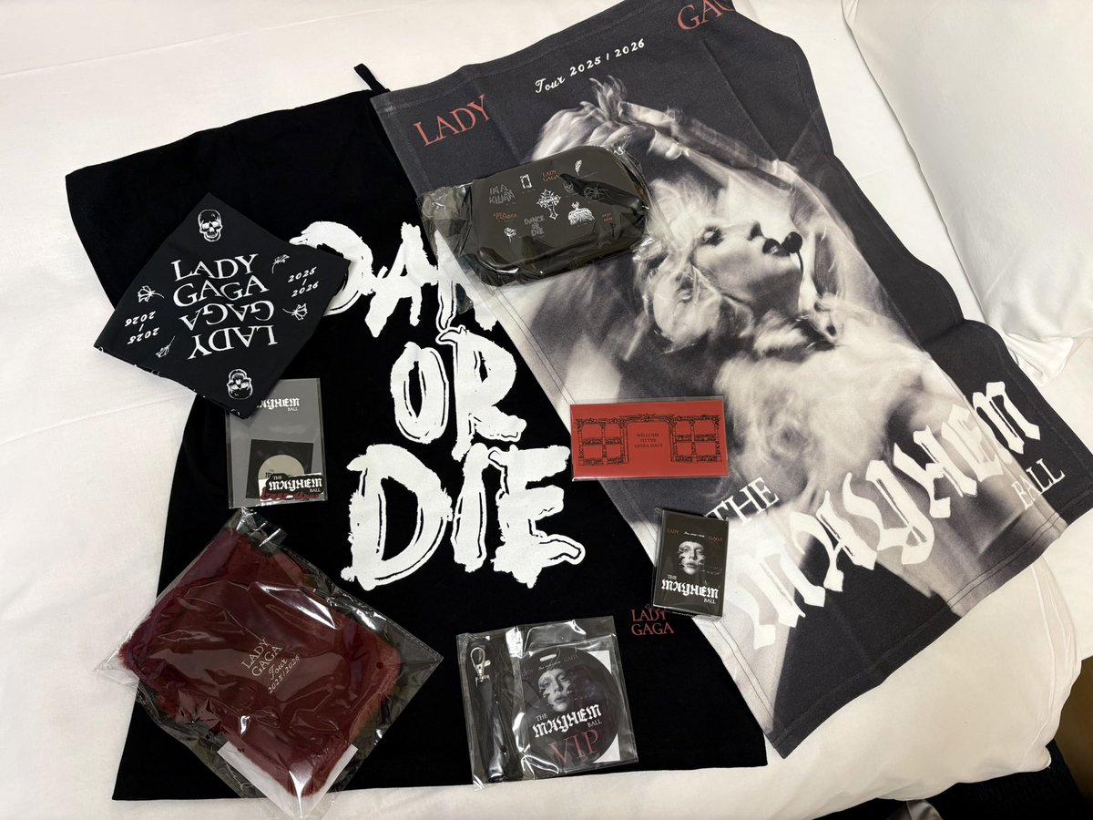 LADY GAGA THE MAYHEM BALL VIP GOLD グッズ フルセット Lady Gaga The