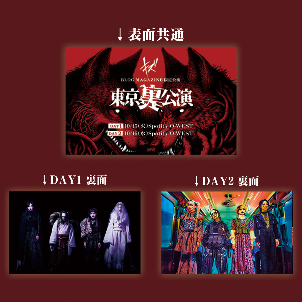 新品未開封】キズLIVE DVD「星を踠く天邪鬼」 【公式通販】