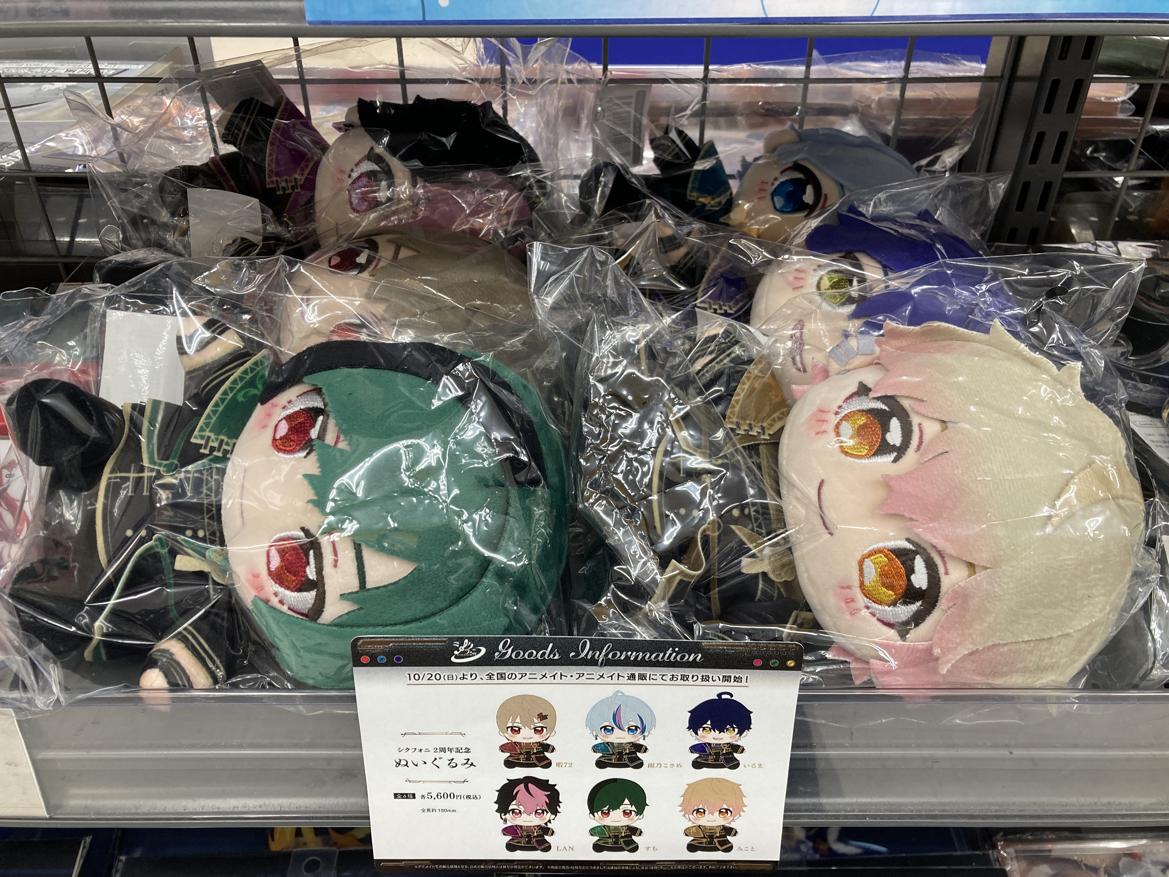 シクフォニぬいぐるみ(みこと) グッズ-ぬいぐるみ】シクフォニ 3周年