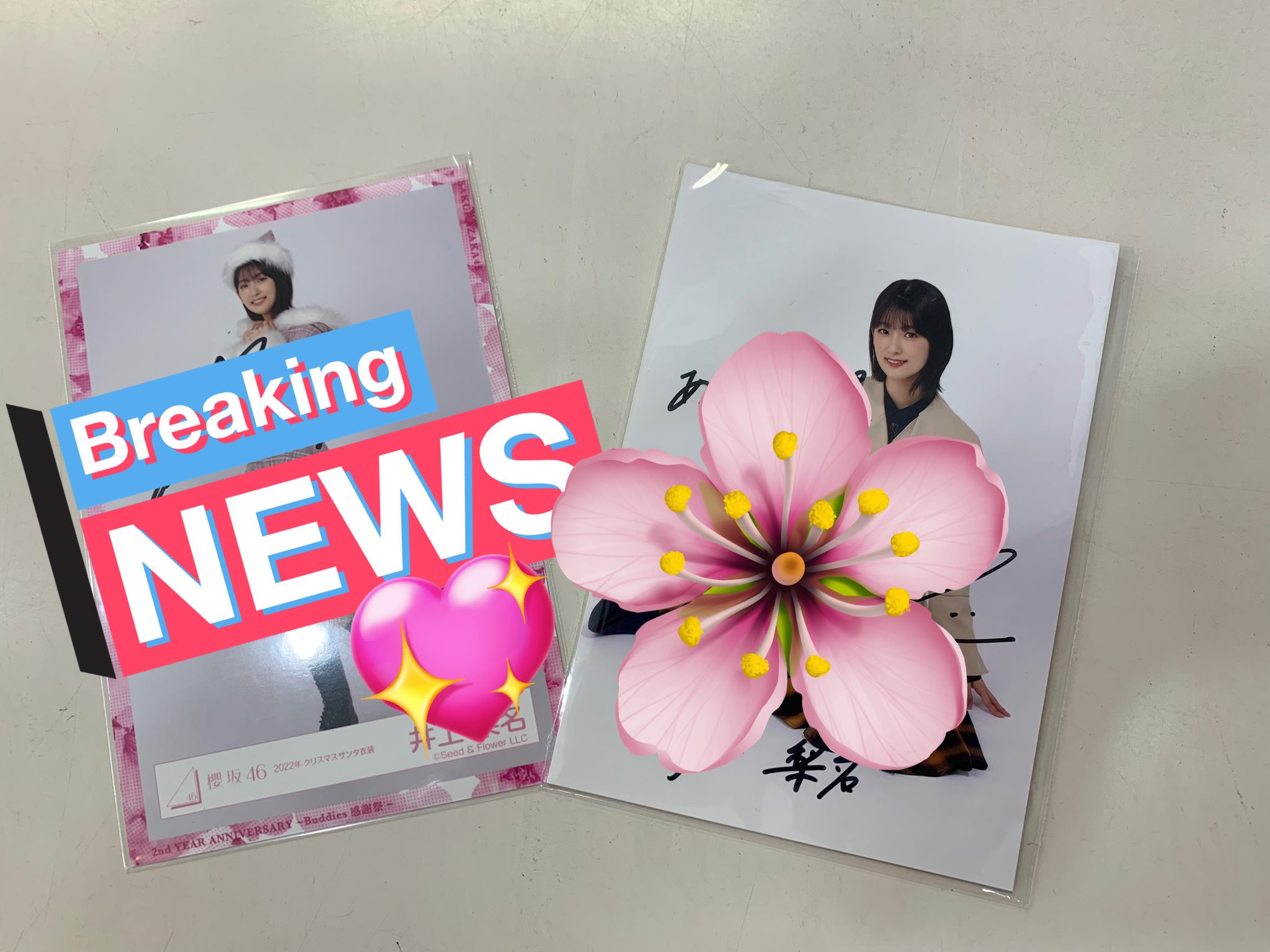 ニ*イ様 櫻坂46 的野美青 2024年 クリスマスサンタ衣装 直筆サイン