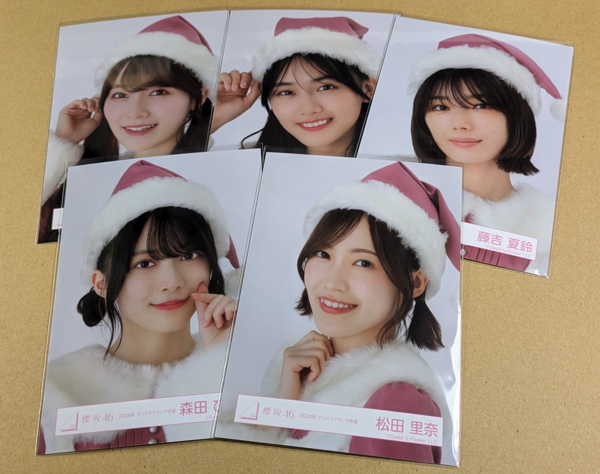 櫻坂46 山崎天 2024サンタ衣装 ヨリ 直筆サイン 生写真 櫻坂46