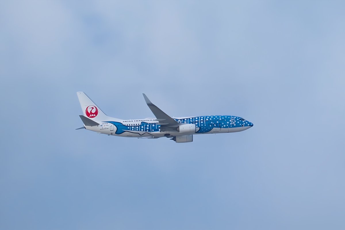 1/400 JTA JAL 日本航空 B737 JA05RK ジンベエジェット 1/400 JTA JAL