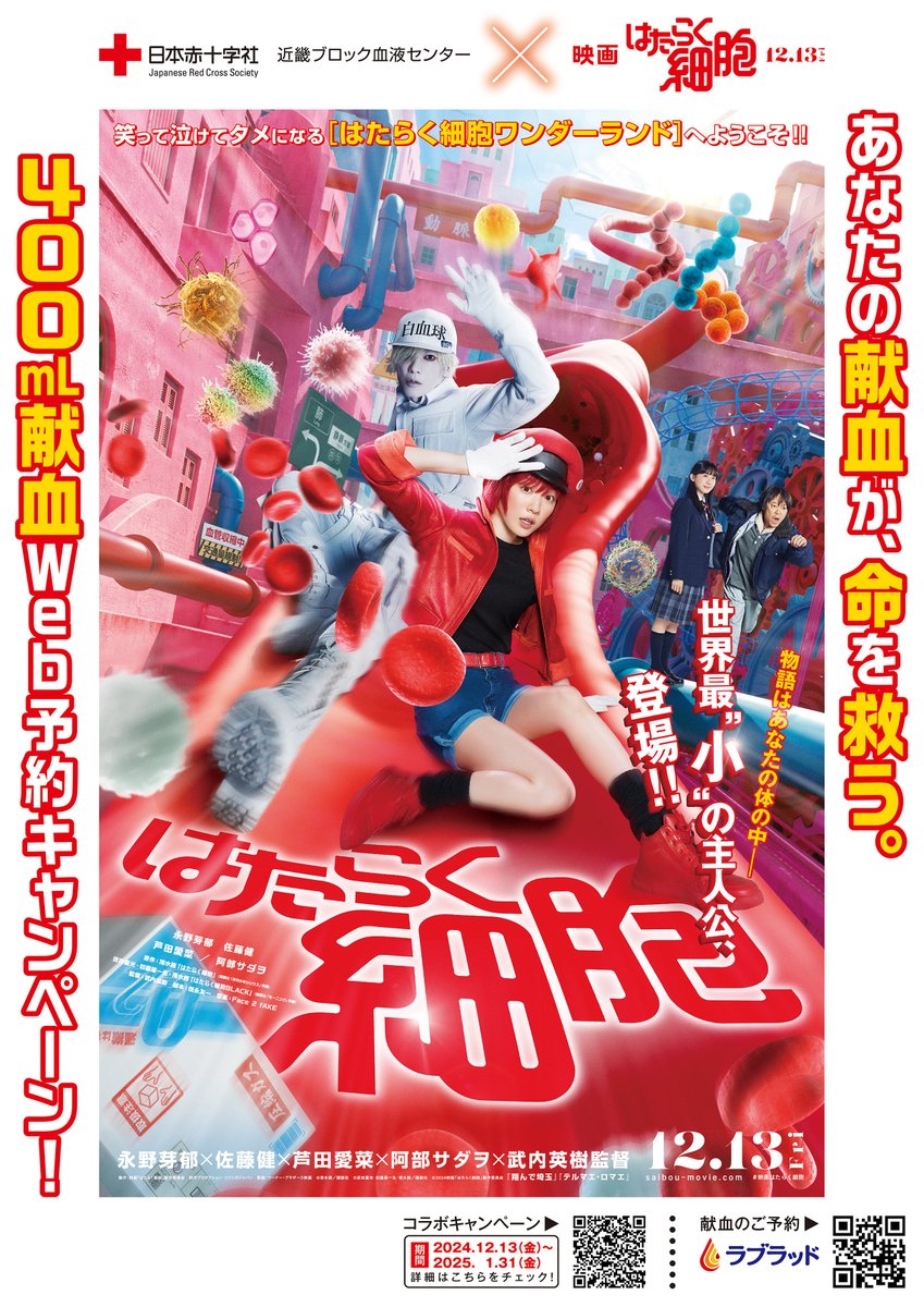 ⋱あなたの献血が、細胞を元気に‼⋰ 日本赤十字社 近畿ブロック血液