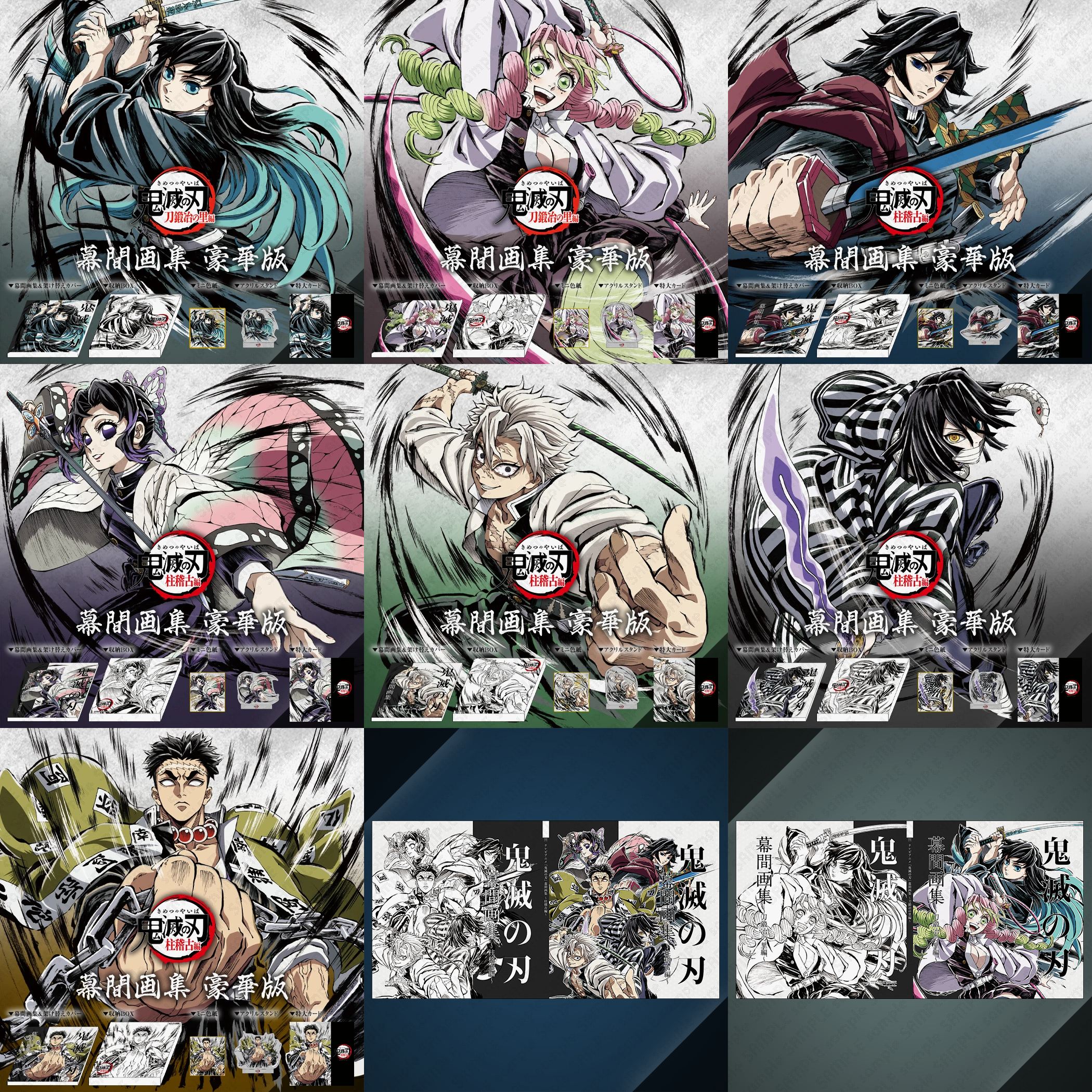 C105 鬼滅の刃 柱稽古編 幕間画集 豪華版 霞柱 時透