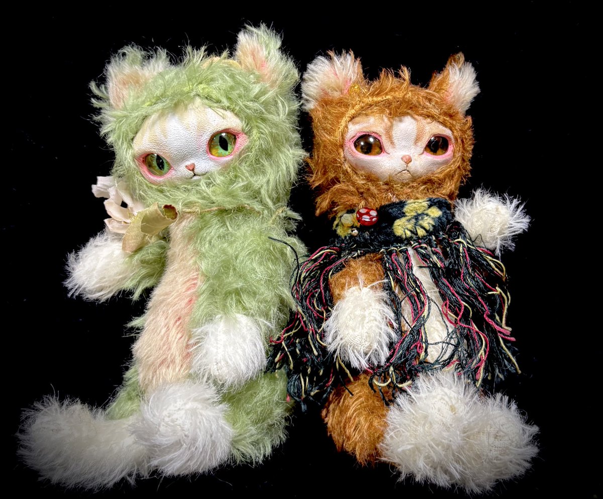 中山和美＊Nakayama Kazumi 🐈‍⬛🐾 (@iiinecocoiii) / Posts / X