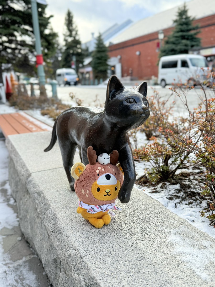 キュンちゃん【公式】 (@kyunchan_dc) / Posts / X