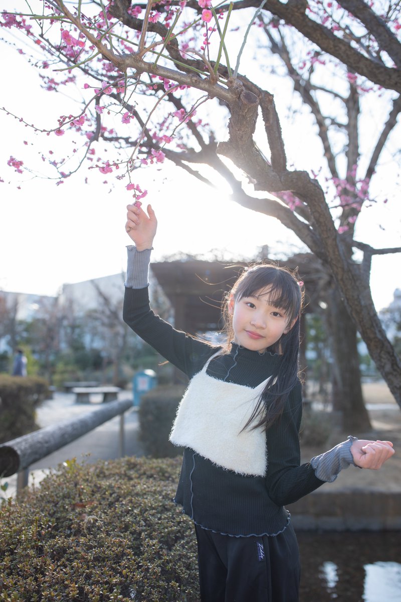 🐰JETRABBIT🌸あーちゃん🌸 (@ayakalina629) / Posts / X