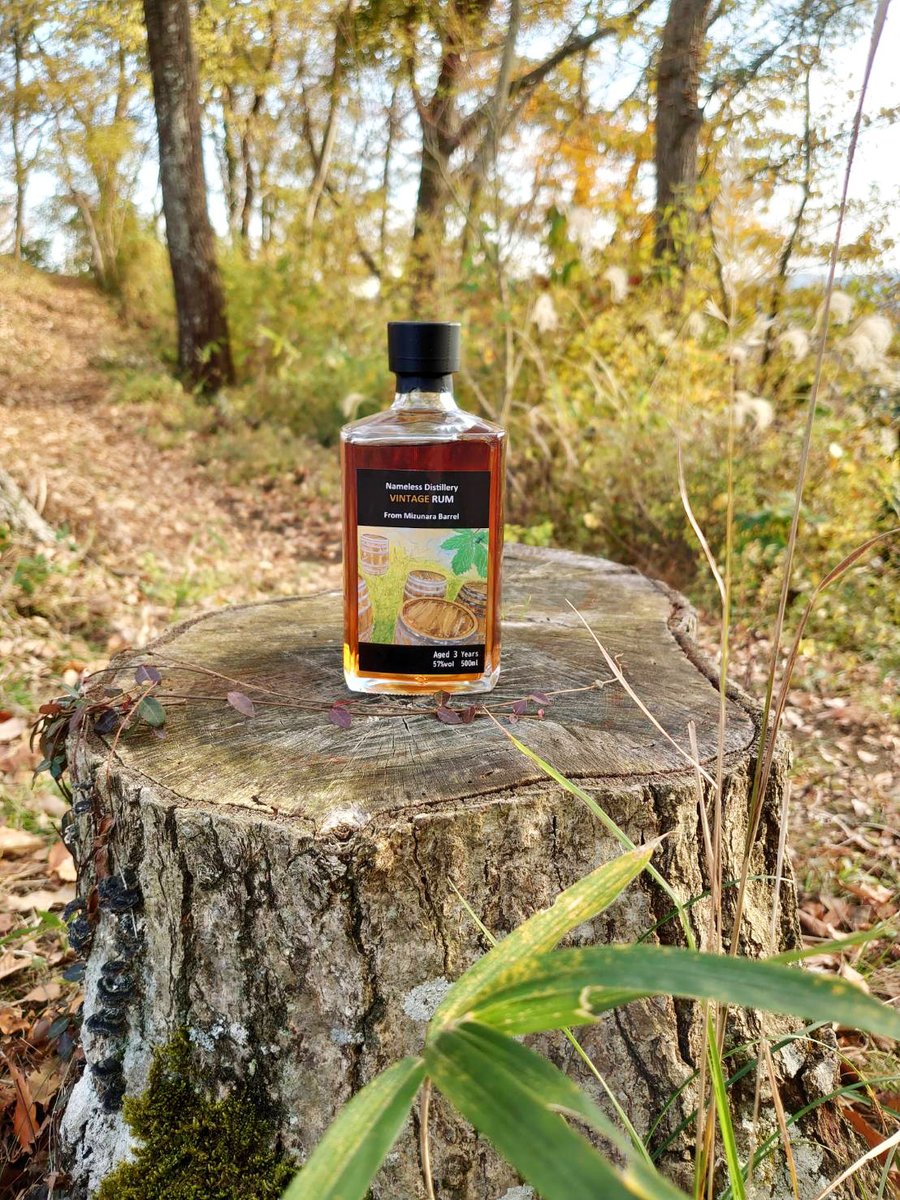 自社「ミズナラ大樽熟成ラム酒」は元々樽出し限定数の偶然出来た賜物