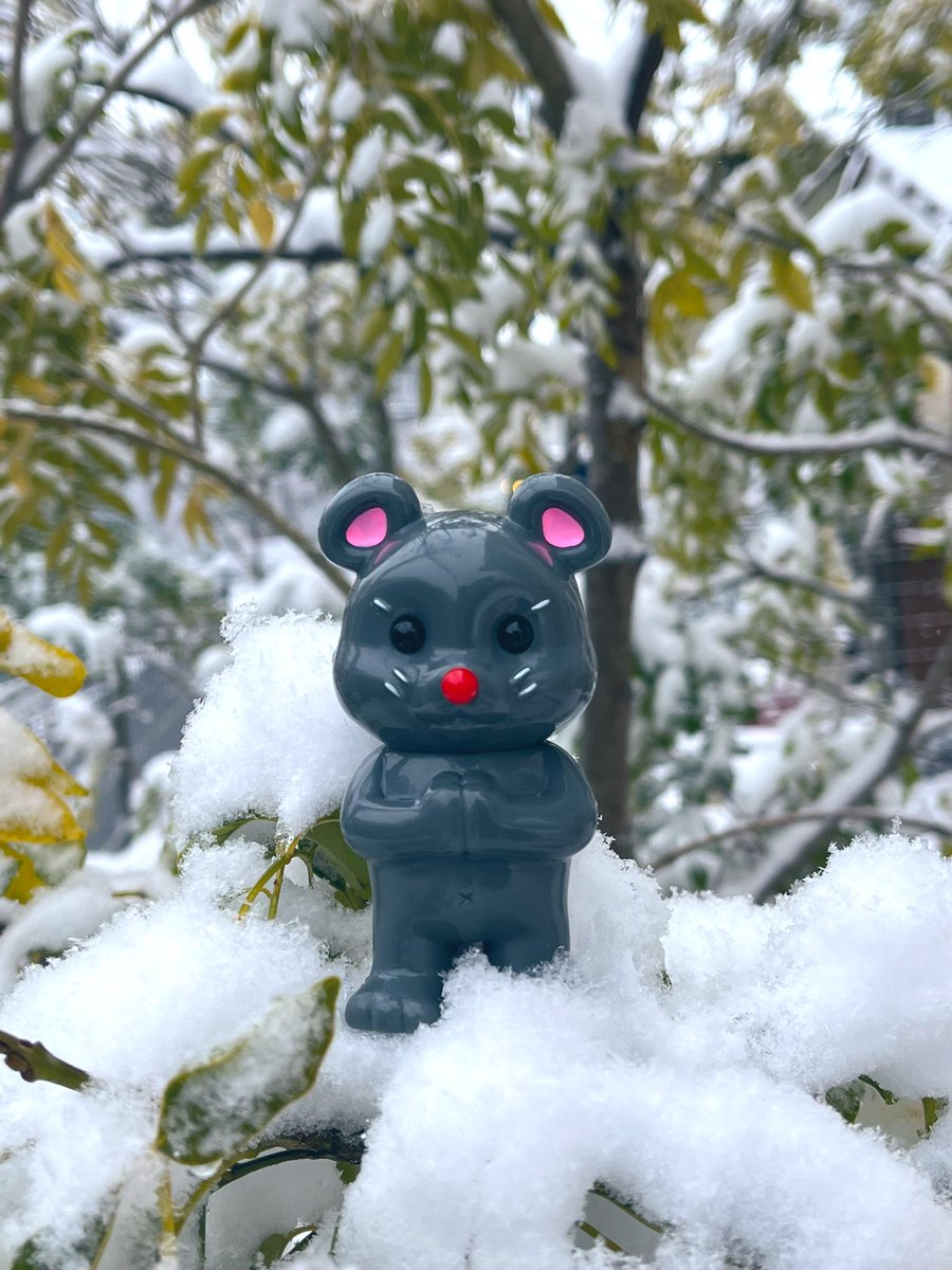 チュウズ (@chuu_55_chuu) / Posts / X