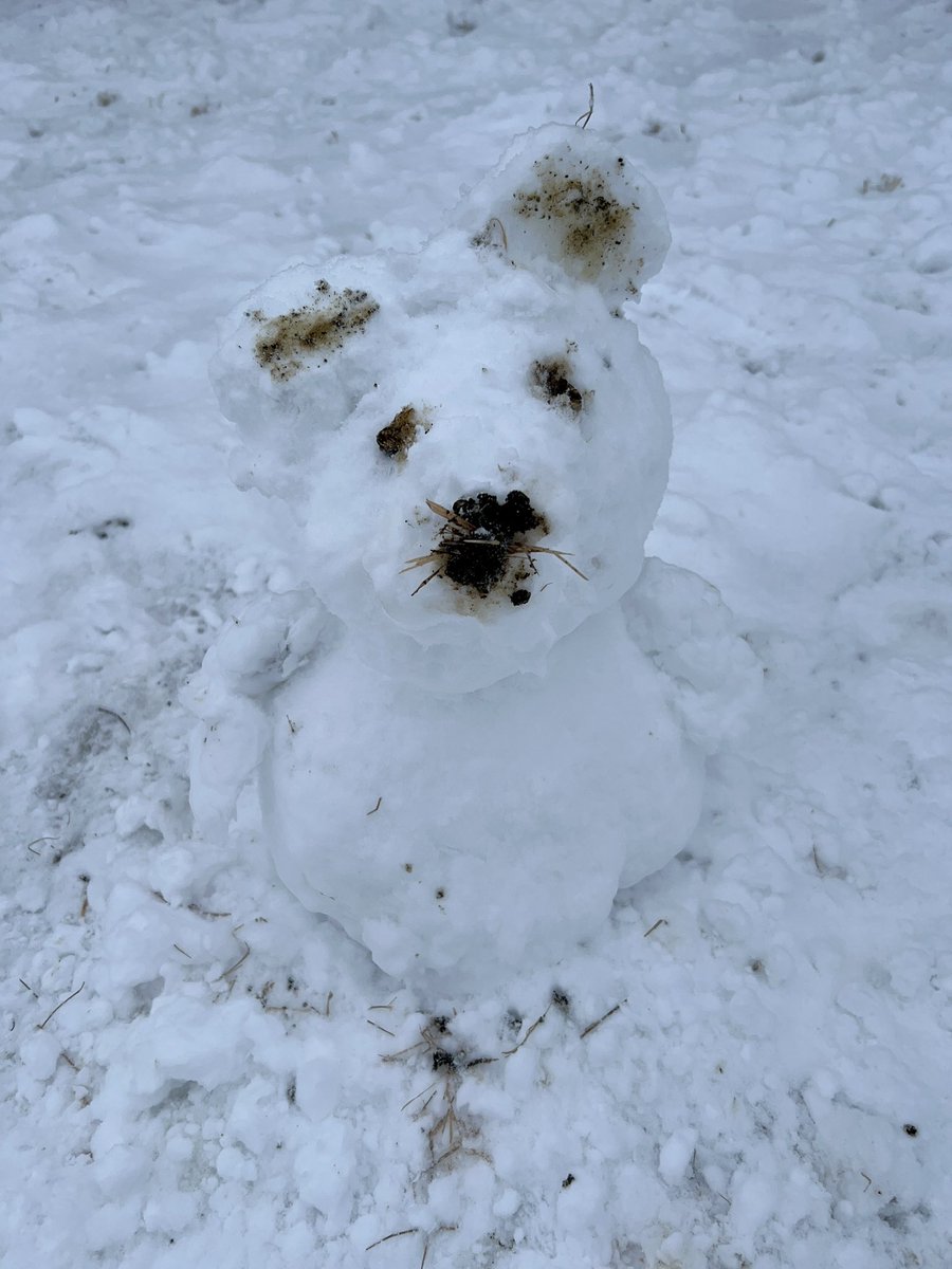 カネヒラ (@simainusima) / Posts / X