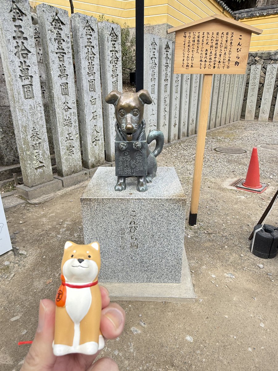 ワンちゃんかわ #ことぴらちょファンツアー2026