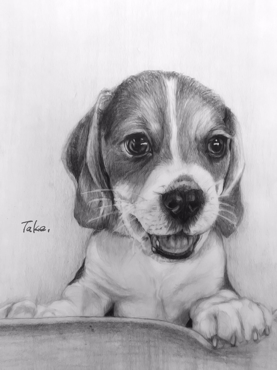 完成🐶 #ビーグル #子犬 #鉛筆画 #デッサン #かわいい #artwork #drawing
