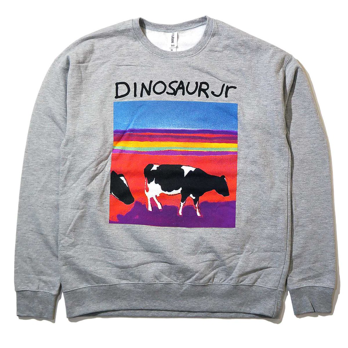 再入荷】ダイナソーJr. のクルーネックスウェットやTシャツが入荷