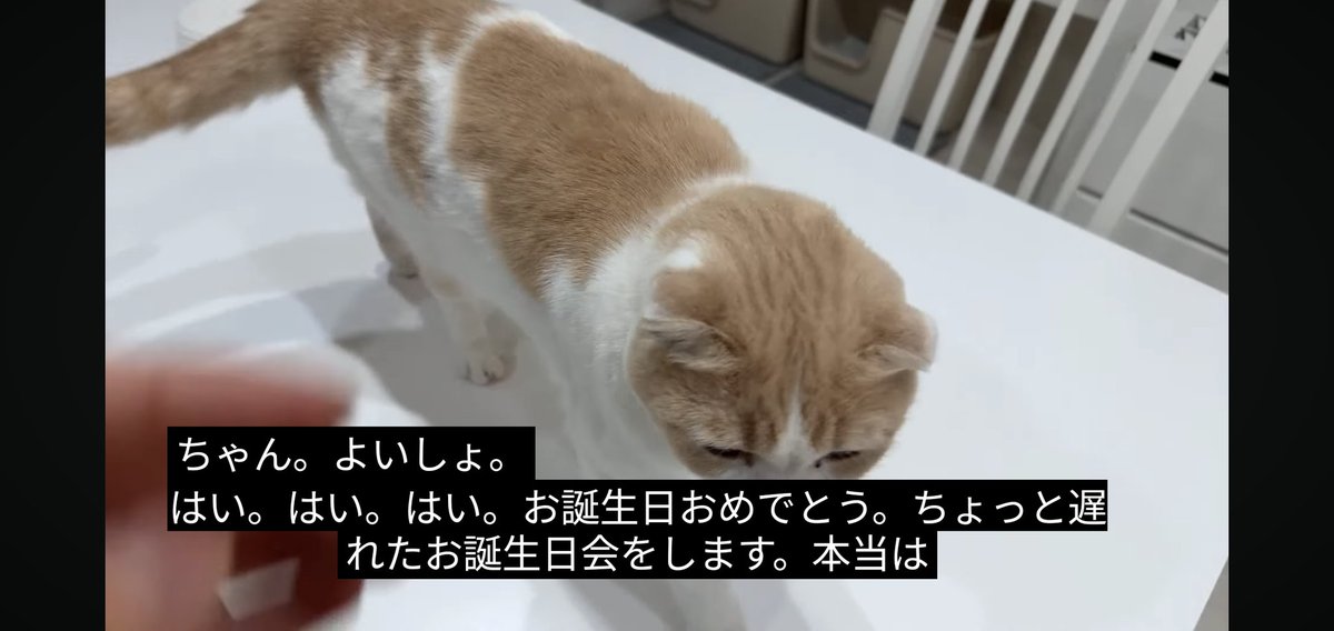 フォウ (@EMs5B5rXk3nxWbS) / Posts / X