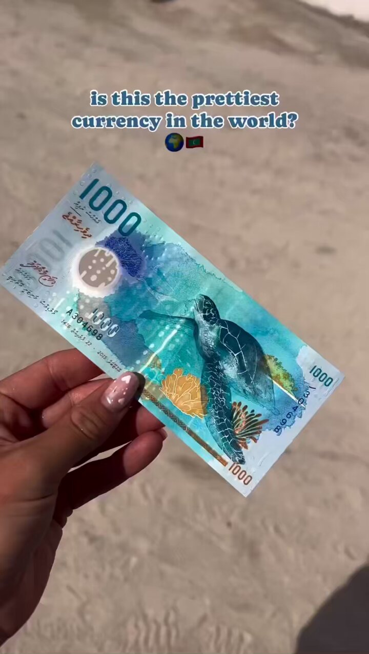 モルディブ 1000ルフィア（MVR）紙幣（海亀・ジンベイザメ