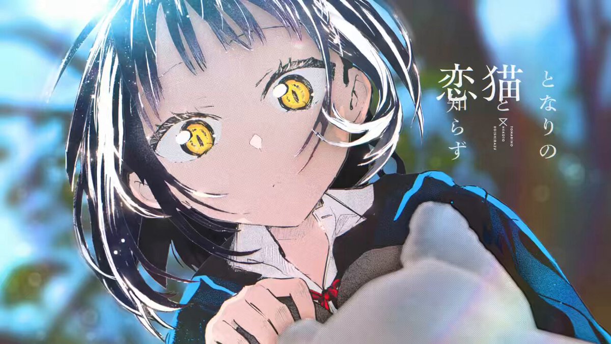 となりの猫と恋知らず クリアファイル あきのこ's Video on X