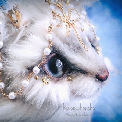 ハラペコ (@hoppeta25chi25) / Posts / X