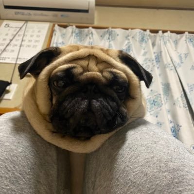 うめちゃん日記 (@Umechanpag) / Posts / X