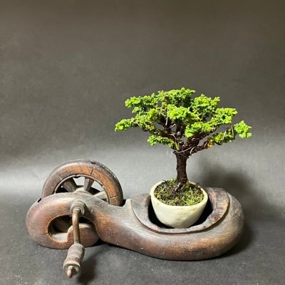 是好 丸 盆栽鉢 絵鉢 ミニ盆栽鉢 是好絵付丸鉢 | 盆栽、盆栽書籍、盆栽