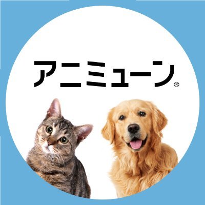 アニミューン®︎｜HACHI (@Animmune) / Posts / X