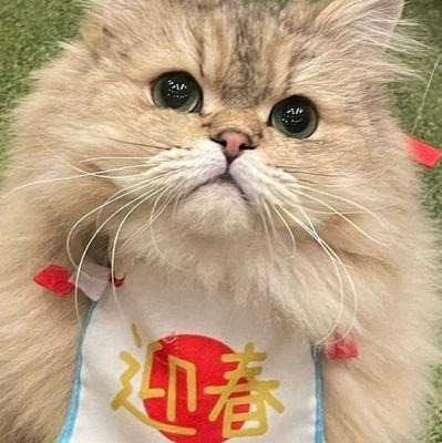 めろんそーだぁー (@meronsodamayu) / Posts / X