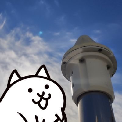 LOVEにゃんこ (@22_ion) / Posts / X