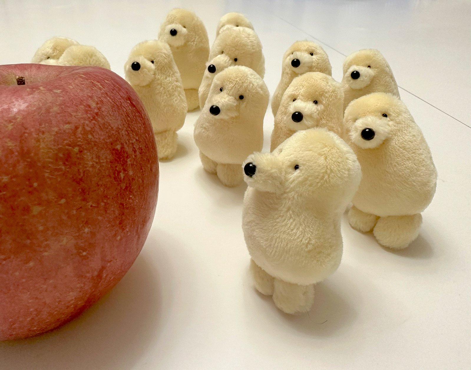 空想アパートメント豆粒ぐらいのぬいぐるみカネヒラ新品未開封はちみせ