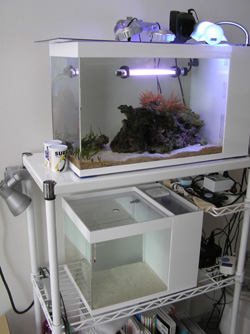 BICOM ARK - 決してバイコムアークの回し者ではありません