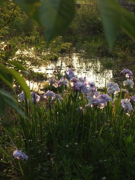 真作】絵画 元村平 油彩 向日葵 静かな詩情漂う一枚 静寂と郷愁 W135